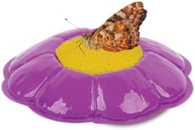 Insect Lore Giant Butterfly Garden with Voucher | 18 Inch Habitat | Life Cycle Figurines Included | Voucher to Redeem 5 Baby Caterpillars Later | Raise Painted Lady Butterflies