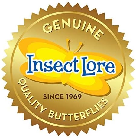 Insect Lore Cup of Caterpillars | 5 Live Caterpillars for Butterfly Garden | Refill for Painted Lady Butterfly Kit | Stickers & Chrysalis Log | STEM Learning Activity