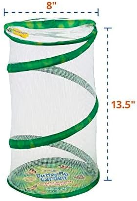 Insect Lore Butterfly Garden 8" Habitat Gift Set | 10 Live Baby Painted Lady Caterpillars | Includes Caterpillars, Food, 3D Butterfly Stickers and Butterfly Wind-up Toy