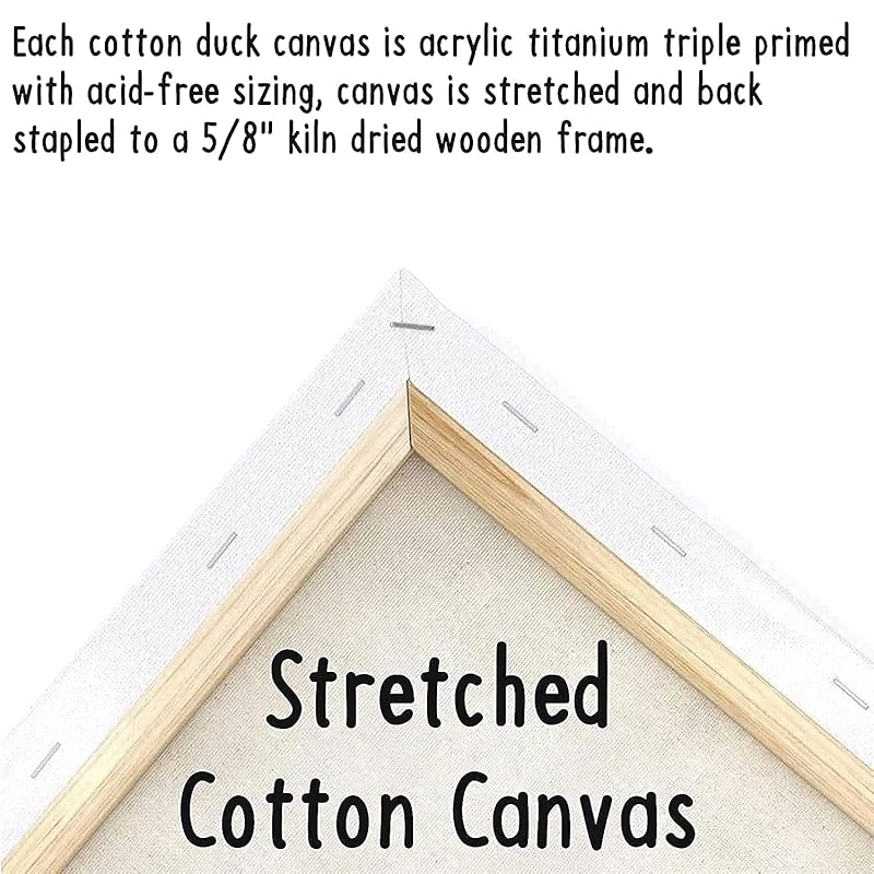 Indigo Art Studio Pre Drawn Canvas Paint Kit for Adults Kids Couples | Stenciled | Sneakers Air Jordan Retro | DIY Birthday Gift & Sip and Paint With Twist Party Favor (Sneakers #4) (11x14 Inches)