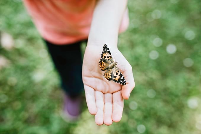 Insect Lore Cup of Caterpillars™ Basic | 5 Live Baby Painted Lady Caterpillars | Refill for Habitat Kit | Caterpillars and Food Included