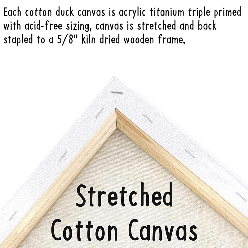 Indigo Art Studio Pre Drawn Canvas Paint Kit for Adults Kids Couples | Stretched & Stenciled | Art Activity | Fruit Bowl Still Life | Birthday & Sip and Paint With Twist Party Favor (8x10 Inches)