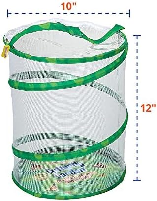 Insect Lore Butterfly Garden with Two Cups of Live Caterpillars | Original Habitat, STEM Journal, Chrysalis Holding Logs, 10 Live Baby Caterpillars | Painted Lady Butterflies | Life Science Education