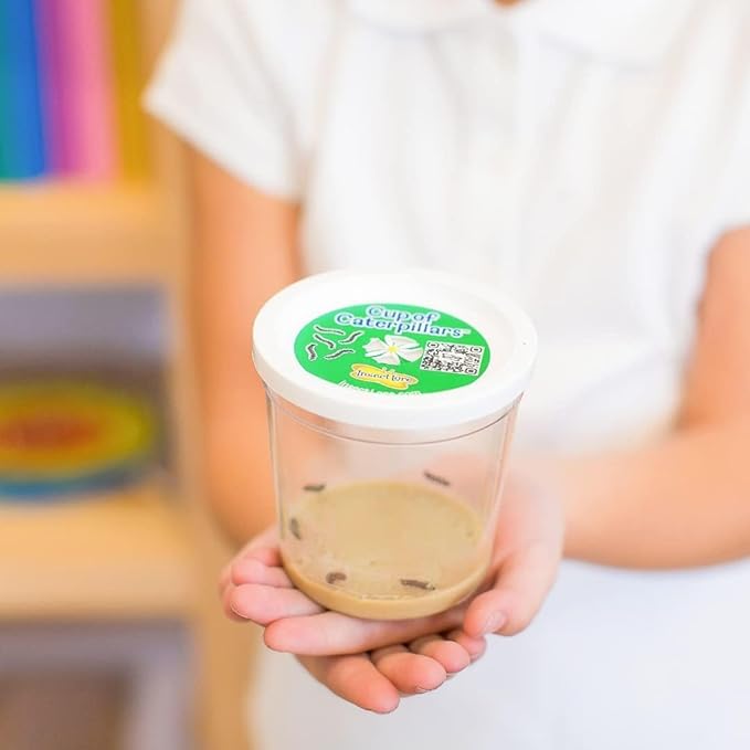 Insect Lore Two Cups of Live Caterpillars | Painted Lady Butterflies | Includes 2 Chrysalis Holding Logs | 10 Live Baby Caterpillars | Refill for Habitats and Kits