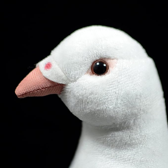 Simulation White Pigeon Stuffed Animal Toy - 10 inch Rock Pigeon Toys, Cute Pigeon as Gift for Kids (White Pigeon)
