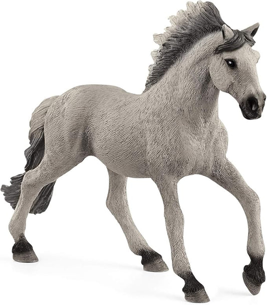 13915 - Sorraia Mustang Stallion